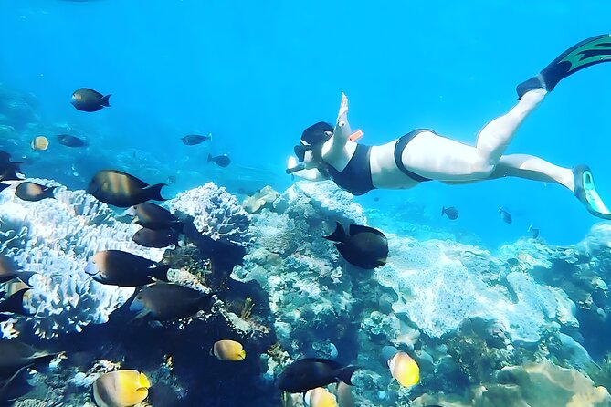 Nusa Penida Island Beach Tour With Snorkeling - Departure From Bali Island - Snorkeling gear, life jackets, and the comfort of being “ready to go”