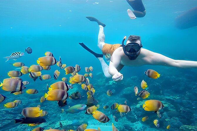 Nusa Penida Island Beach Tour With Snorkeling - Departure From Bali Island - What the guides and drivers add to the experience