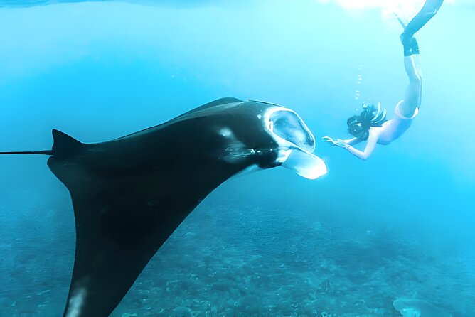 Nusa Penida Island Beach Tours with Snorkeling From Bali - Gamat Bay snorkeling: clean sand and a calmer start