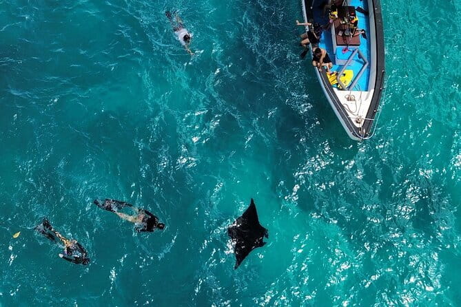 Nusa Penida Private Snorkeling and Land Tour Start from Bali - Key highlights you should care about