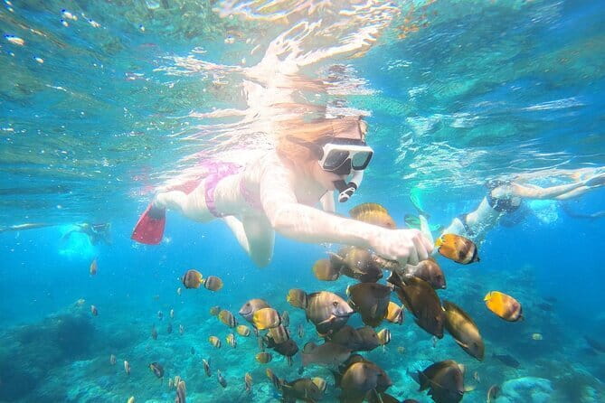 Nusa Penida Private Snorkeling and Land Tour Start from Bali - Why the photo-focused boat time is a real value