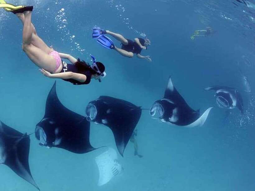 Nusa Penida: Snorkeling 3-4 spots and island tour with guide - The snorkeling circuit: Manta Bay, Crystal Bay, and Gamat Bay