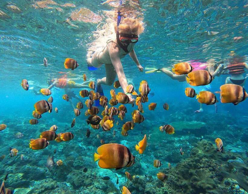 Nusa Penida: Snorkeling 3-4 spots and island tour with guide - Manta rays: how to maximize your odds and stay calm