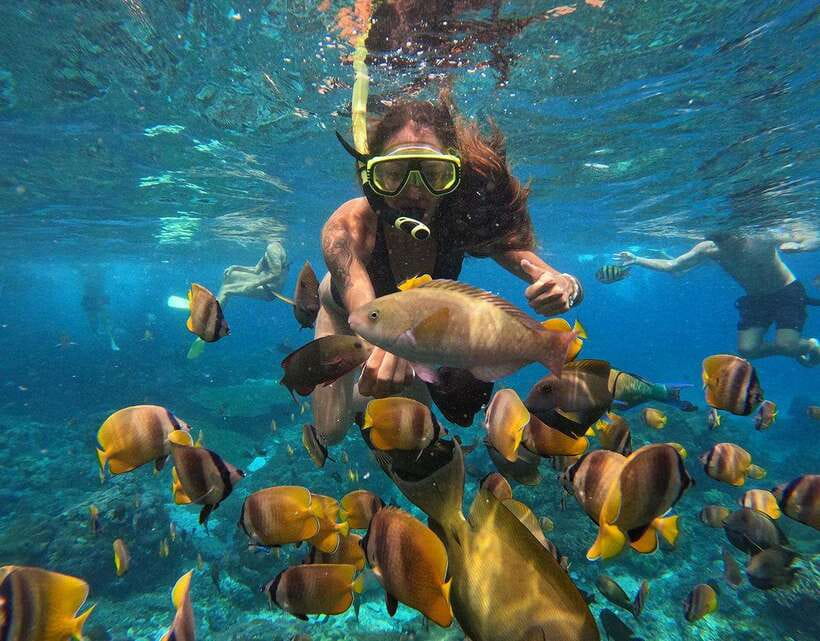 Nusa Penida: Snorkeling 3-4 spots and island tour with guide - Who this tour is best for, and who should pass