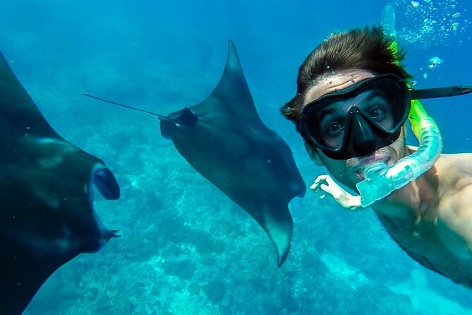Nusa Penida Snorkeling 3 Point with Manta Bay & Land Tour - Morning logistics from Ubud, and why 6:30 am matters