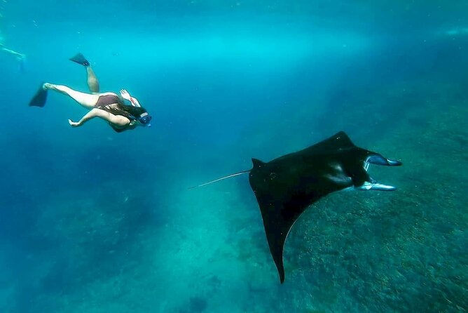 Nusa Penida Snorkeling 3 Point with Manta Bay & Land Tour - Fast boat crossing to Nusa Penida, crowded and weather-dependent