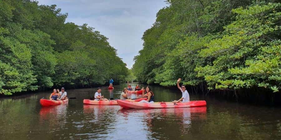 Nusa Penida: Snorkeling 3 Spots with GoPro & Kayak Mangroves - What you pay for: value at $16, plus what to budget for