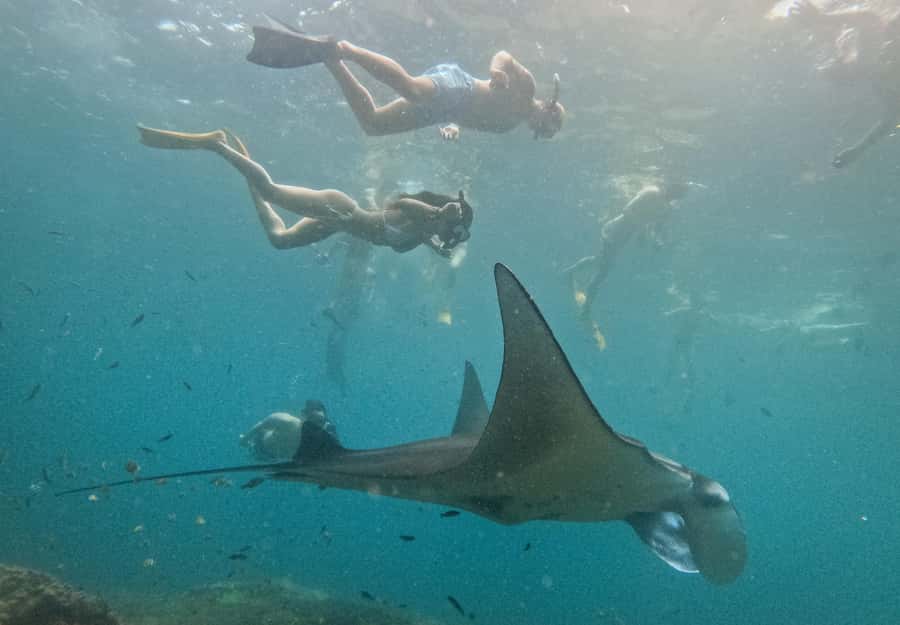 Nusa Penida: Snorkeling 3 Spots with GoPro & West Land Tour - The big idea: snorkel Nusa Penida, then hit the west-coast icons
