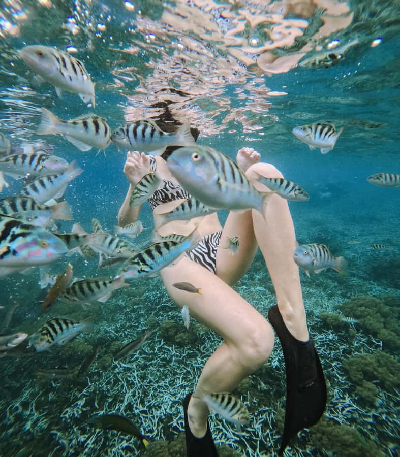 Nusa Penida: Snorkeling 3 Spots with GoPro & West Land Tour - Snorkel-only versus West Land Tour: what you’re really choosing