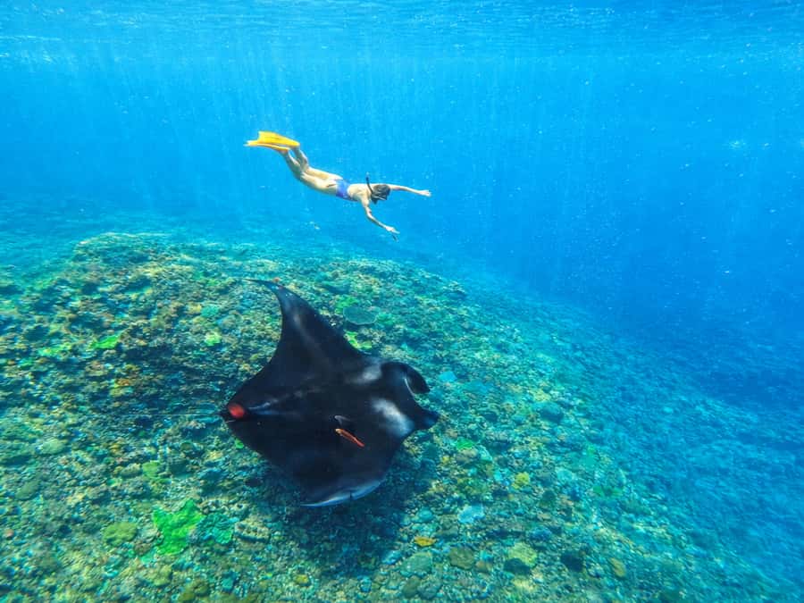 Nusa Penida: Snorkeling 3 Spots with GoPro & West Land Tour - Morning water time: Manta Bay, Crystal Bay, Gamat Bay, plus backup spots