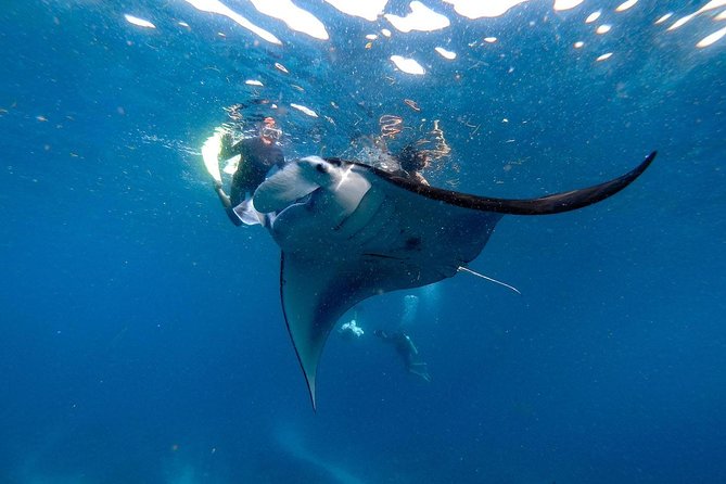 Nusa Penida Snorkeling Adventure (Private & All-Inclusive) - Price and value: is $129 fair for what you get?