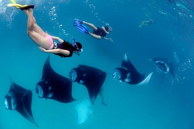 Nusa Penida Snorkeling Adventure (Private & All-Inclusive) - Snorkeling on Penida: Manta Bay and the bays that follow