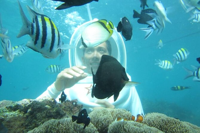 Nusa Penida Trip with Snorkeling all-Inclusive - 7:00 am pickup and private driver, the real logistics