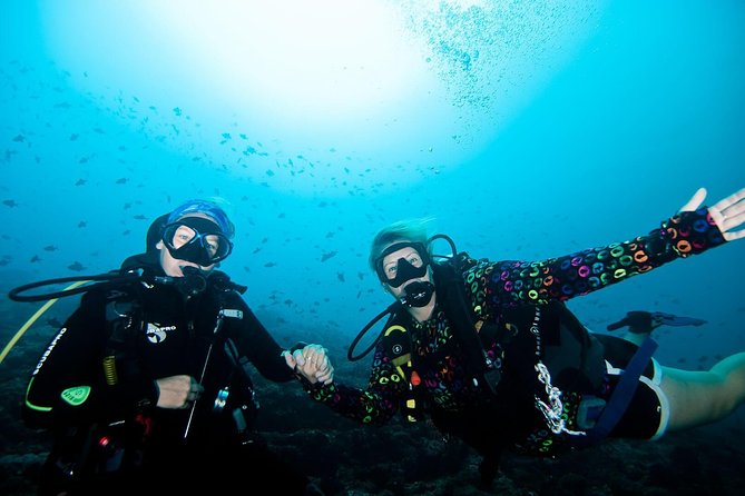 Nusa Penida Try Scuba Diving Program - for Non-Certified Divers - Key things to know before you go