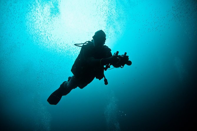 Nusa Penida Two Dives Trip for Certified Divers - Two Underwater Sessions Off Nusa Penida, Built for Certified Divers