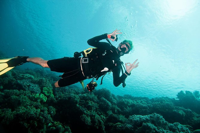 Nusa Penida Two Dives Trip for Certified Divers - What Your $132 Covers, and the Value Behind It