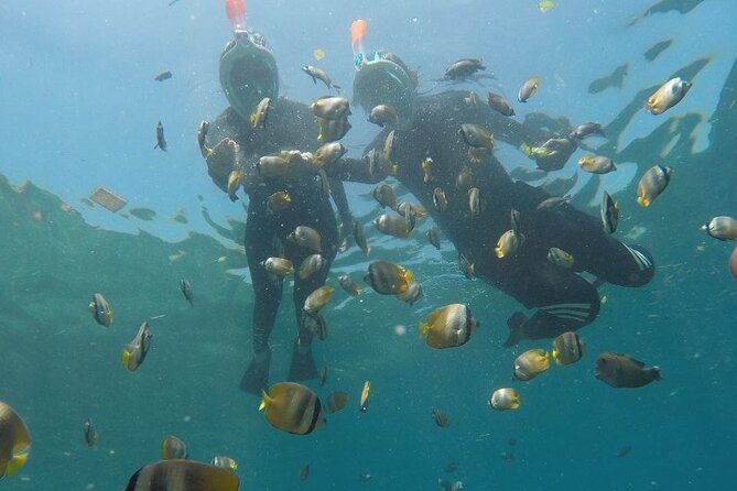 One Day Snorkeling Trip & West Tour Nusa Penida by Penidago - Angel’s Billabong and Broken Beach (Pasih Uug) After Snorkeling