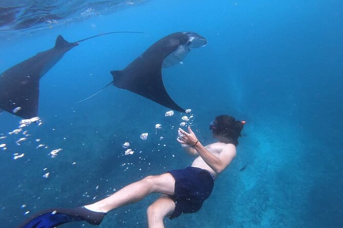 One Day Snorkeling Trip & West Tour Nusa Penida by Penidago - Kelingking Beach: The Final Big Viewpoint at About 13:30