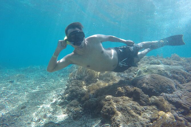 One Day Snorkeling Trip & West Tour Nusa Penida by Penidago - Guide Skills, Timing, and Photo Support: Why It Can Feel Effortless