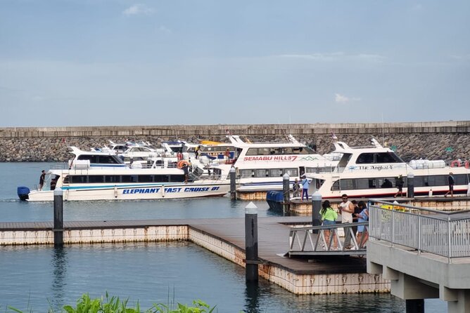 One-way Ticket Fast Boat from Sanur Bali or Nusa Penida - Cost and Value at About $12.22 One Way