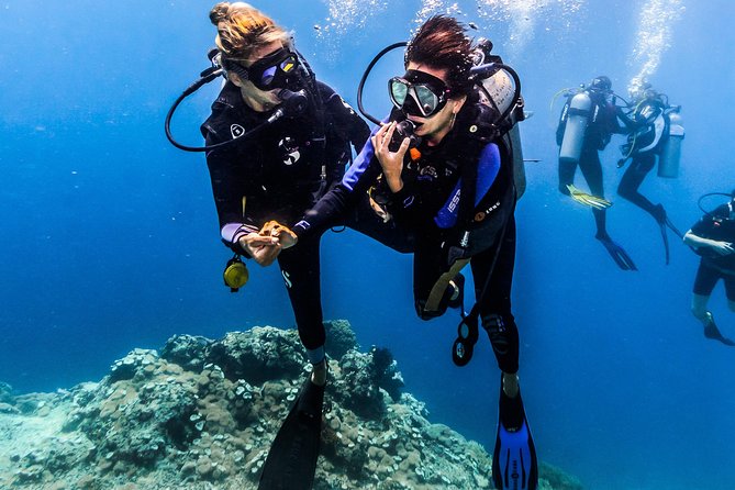 Open Water Course in Nusa Lembongan - Get Certified on remote island (next Bali) - Open-Water Sessions Around Crystal Bay, Mangrove Point, Toyapakeh, and Jungut Batu