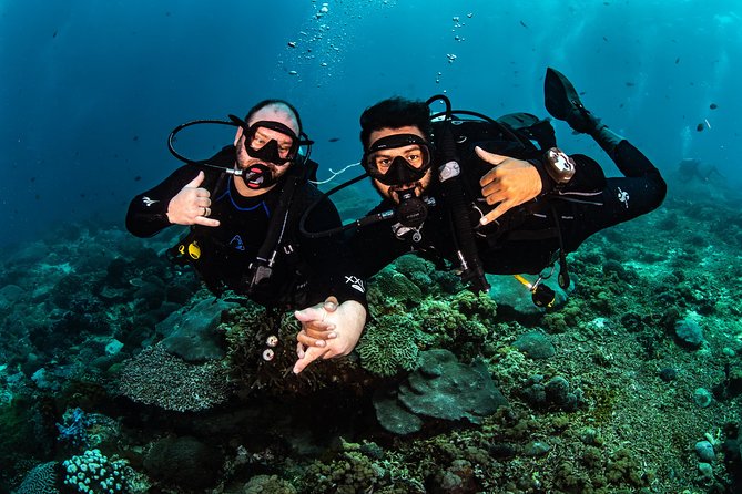 Open Water Course in Tulamben - Get Certified in Bali - Equipment and comfort at Dive Concepts Bali