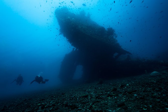 Open Water Course in Tulamben - Get Certified in Bali - Your certification outcome: what SSI Open Water actually gives you