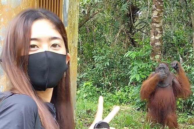 Orangutan Tour Tanjung Puting 2Nights - Key Points to Know Before You Go
