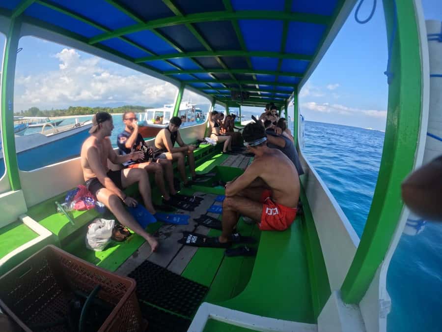 Ozzy Snorkeling 3 Islands Visit Baby Turtles - Turtle Point and baby turtles: how to improve your odds