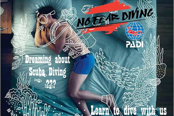 Padi Discover Scuba Diving In Amed Bali - What You’ll See Underwater: Fish, Coral, Turtles, and the Area’s Big Stories