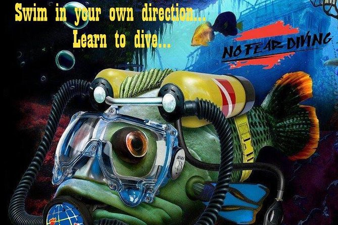Padi Discover Scuba Diving In Amed Bali - Logistics That Actually Affect Your Comfort