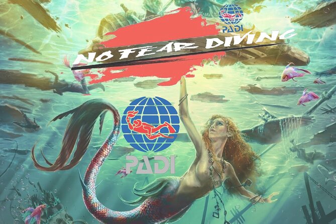 Padi Discover Scuba Diving In Amed Bali - Should You Book This PADI Discover Scuba Session in Amed?