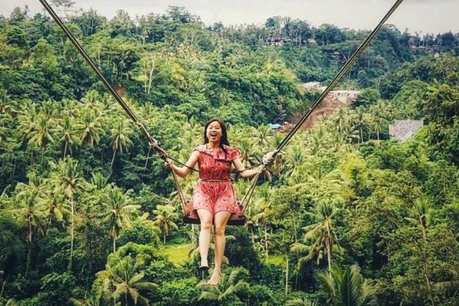 Penglipuran Traditional Village Tour with Swing, Rice Terrace, and Temple - Monkey Forest area: how it fits into a Ubud day