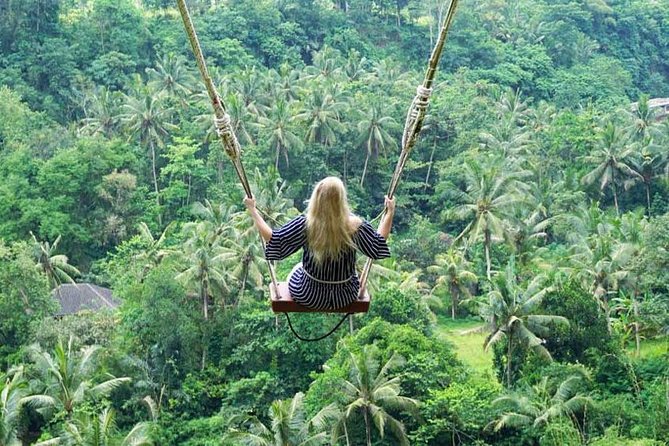 Penglipuran Traditional Village Tour with Swing, Rice Terrace, and Temple - What your driver time can change, and why flexibility matters