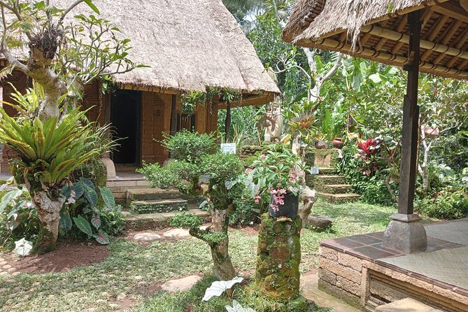 Penglipuran Village Waterfall Swing Private Guided Tour - Door-to-door transport, Wi-Fi, and a guide who adjusts to you