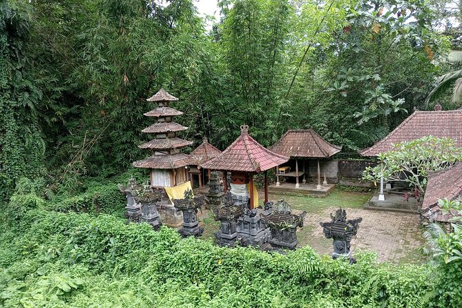 Penglipuran Village Waterfall Swing Private Guided Tour - Penglipuran Village, one of Bali’s most orderly communities and a concept you can explain
