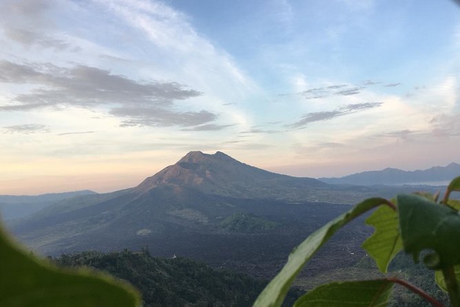 Point View of Kintamani Vulcano and Ubud Tour - The Big Idea: A One-Day Bali Mix That Actually Makes Sense