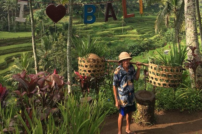 Point View of Kintamani Vulcano and Ubud Tour - Morning Start in Nusa Dua: Why 8:00 am Matters