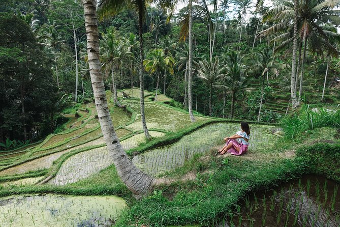 Private Bali Car Charter with Driver up to 6 People - Should you book the Seminyak and Ubud private car charter?