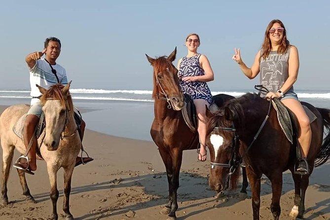 Private Bali Horse Riding In Seminyak Beach - Horses, guides, and how beginner-friendly it feels