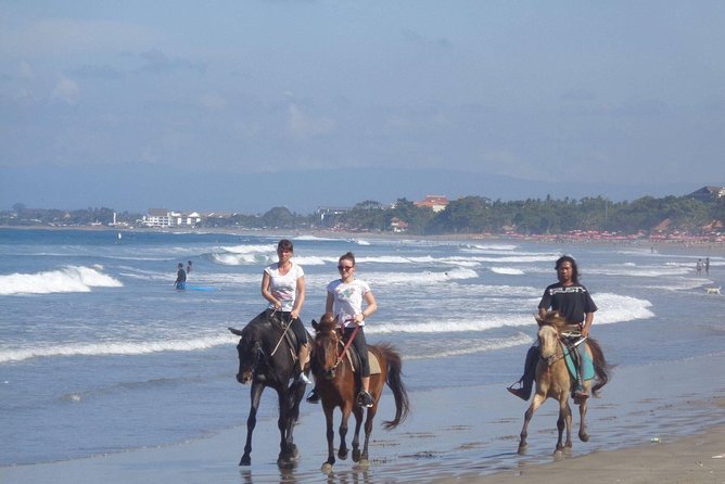 Private Bali Horse Riding In Seminyak Beach - Mixed reviews: what to watch so your ride stays pleasant