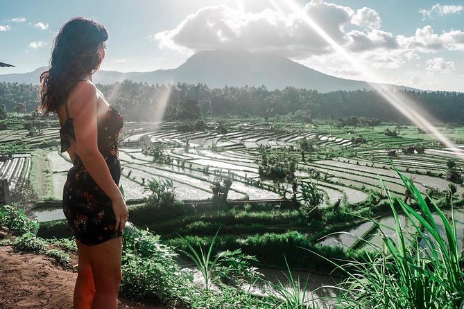 Private Bali Tour: The Most Scenic Places - Wanagiri Hidden Hills: bird nest and swing views over the lake