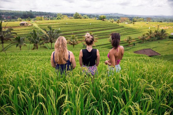 Private Bali Tour: The Most Scenic Places - Lunch with rice terraces: how to make it the best hour of the day