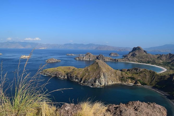 Private boat trip Komodo 2 or more person for 3 days 2 nights, Kelor, Rinca... - Wildlife odds: Komodo dragons, turtles, manta rays, and flying foxes