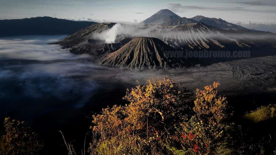 Private Bromo Tour start from Malang - 1D - Tickets, the included 4x4 ride, and the real value of $61 per person