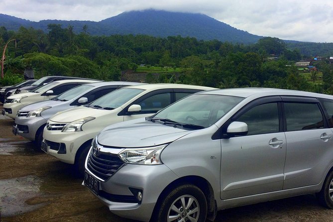 Private Car Charter - Explore Best of Bali - Why a private chauffeur in Ubud beats hiring-and-guessing