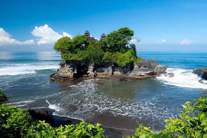 Private Car Charter - Explore Best of Bali - Tegalalang Rice Terrace, Happy Swing, and Monkey Forest timing
