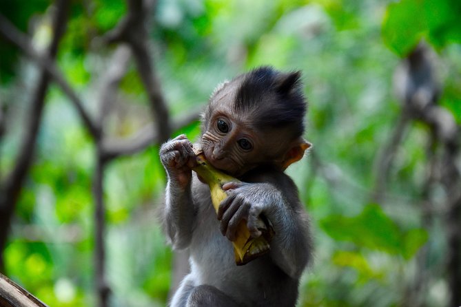 Private Customized Trip to Ubud - Stop 2: Prapen Jewelry and Artifacts, shop energy with a purpose