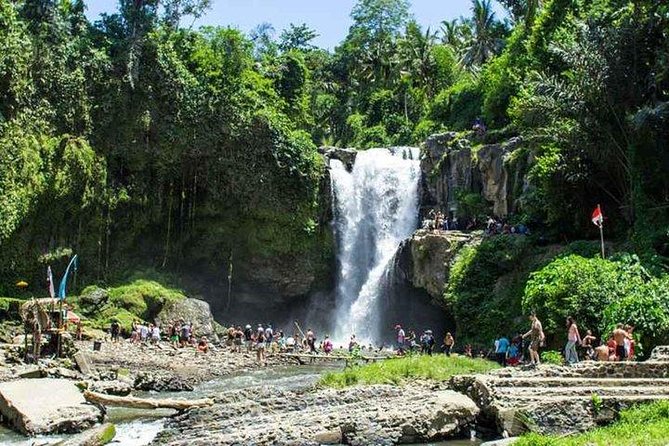 Private Day Tour: The Highlight of Ubud - Ubud in One Day, Without the Stress of Sorting Transport