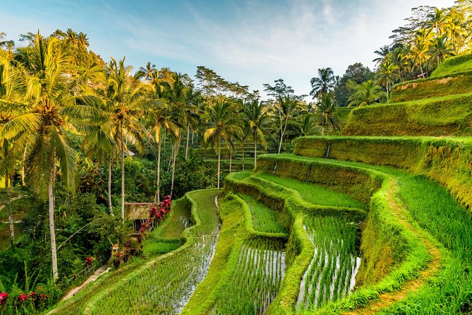 Private Day Tour: The Highlight of Ubud - Arts Village Stops: Batik, Silver, and Wood Carving Options